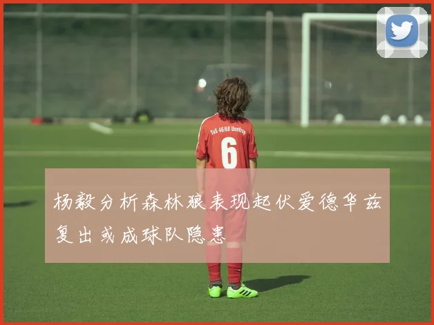 杨毅分析森林狼表现起伏爱德华兹复出或成球队隐患