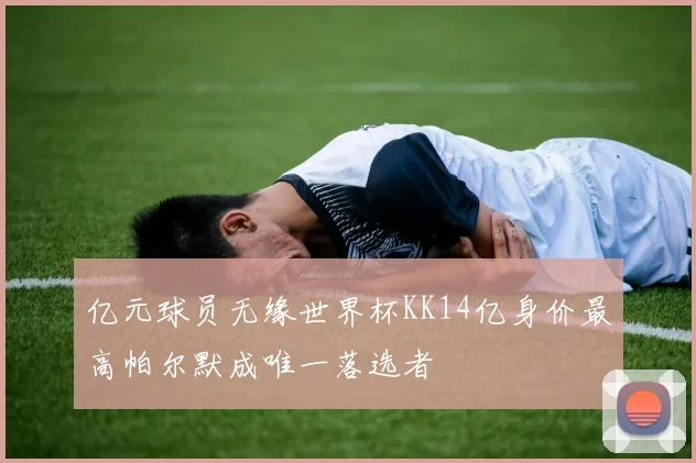 亿元球员无缘世界杯KK14亿身价最高帕尔默成唯一落选者