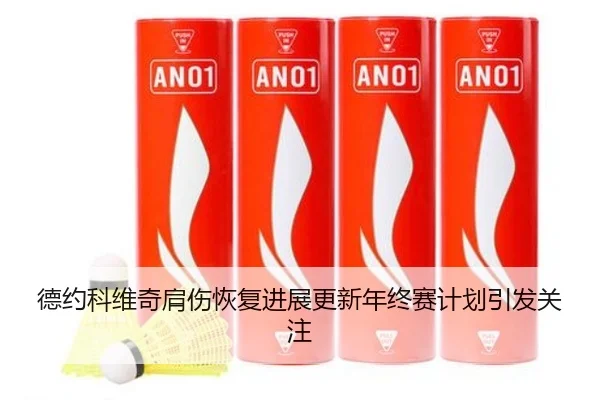 德约科维奇肩伤恢复进展更新年终赛计划引发关注